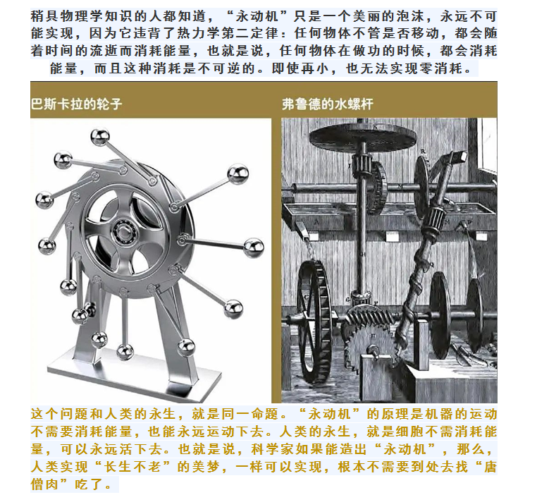 琨能將星譜：“永動機(jī)”謝彩霞